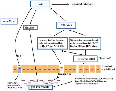 The Gut Microbiota and Autism Spectrum Disorders